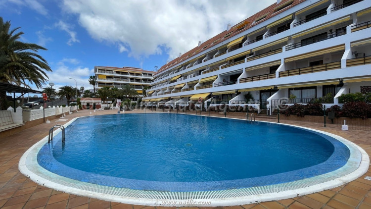 Sunflower apartment - Guia de isora - 