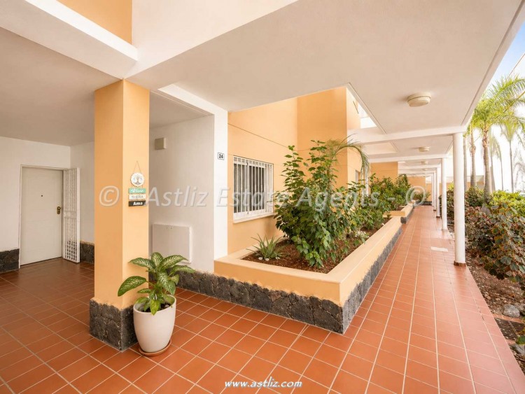 Calle el Acebuche 3 - Santa Cruz de Tenerife - 