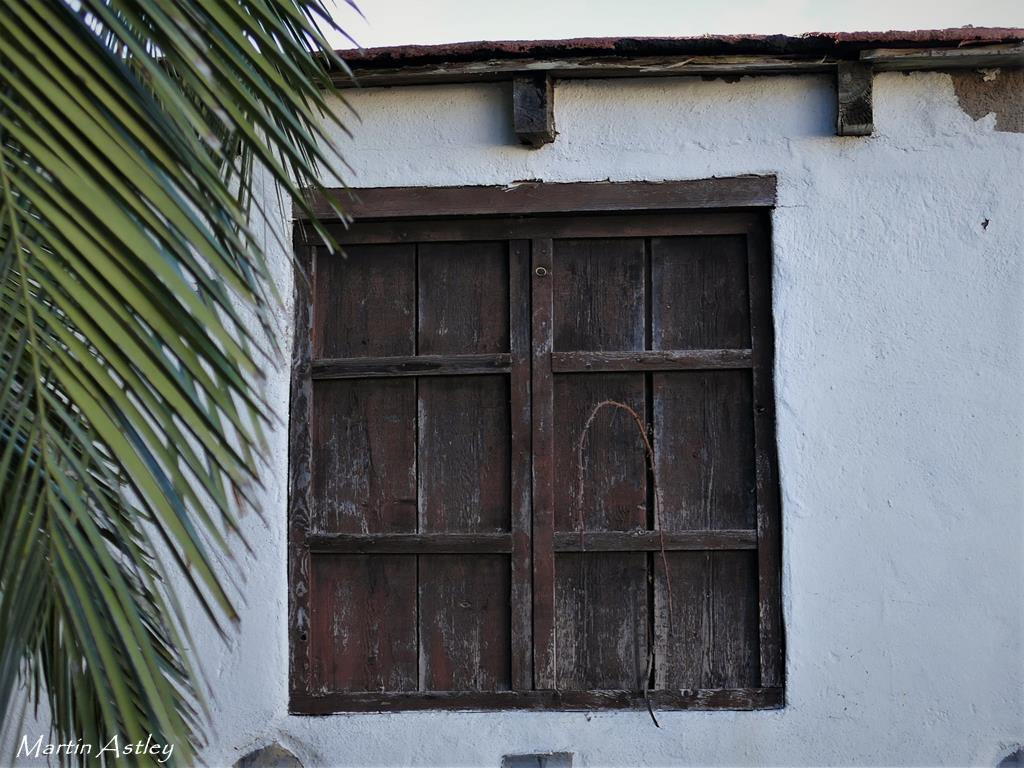 Wooden doors in Ruigomez